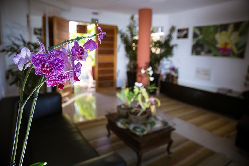 Hotel Orquídea Café Guarapari Esterno foto